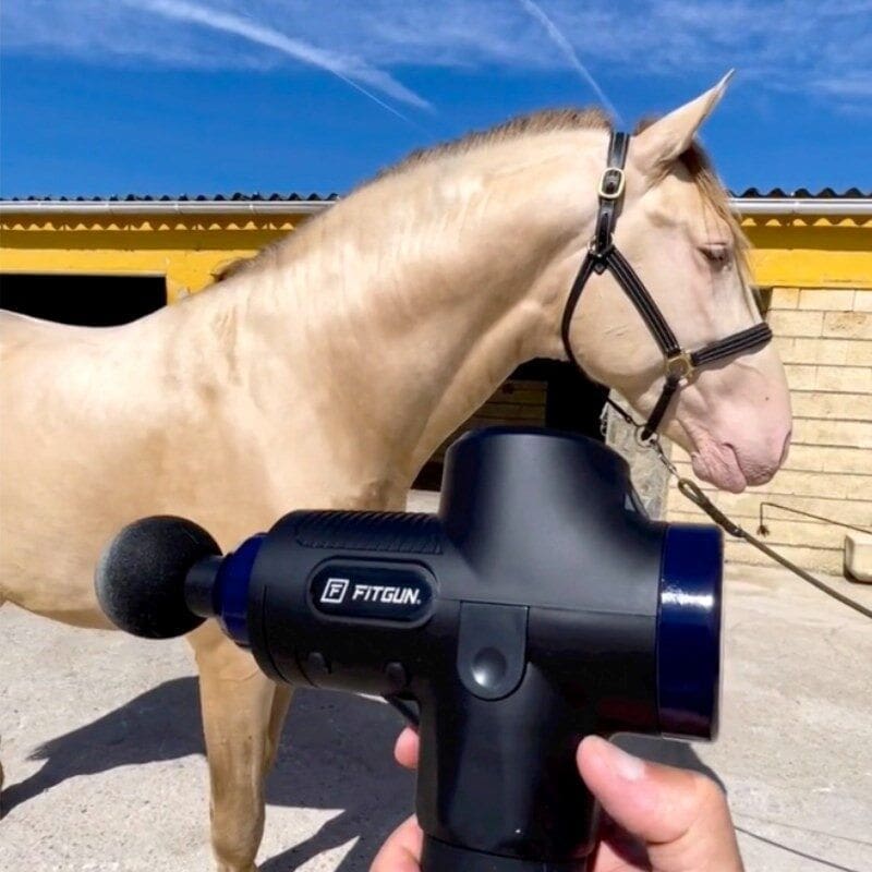 fisioterapia-para-caballos-fitgun-iberianhorseshop