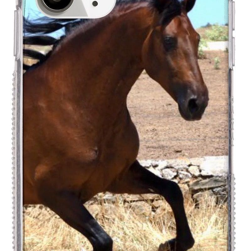 Funda de móvil reforzada en Iberian horse shop