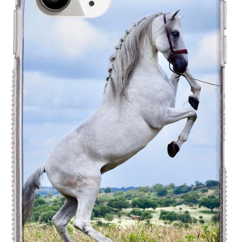 funda-movil-caballo-tordo-elevada-iberianhorseshop