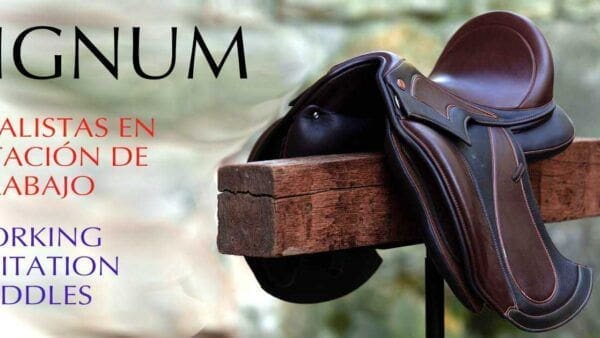 sillas para equitación de trabajo signum