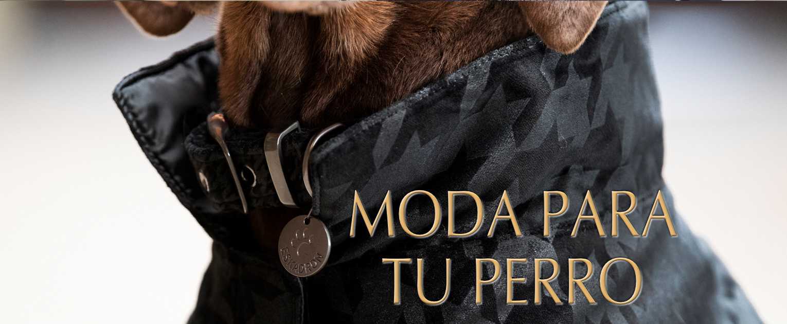 productos y moda para mascotas iberianhorseshop