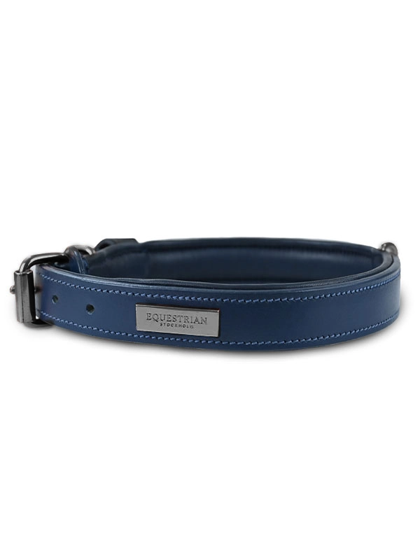 Dog Collar Clean Blue Meadow