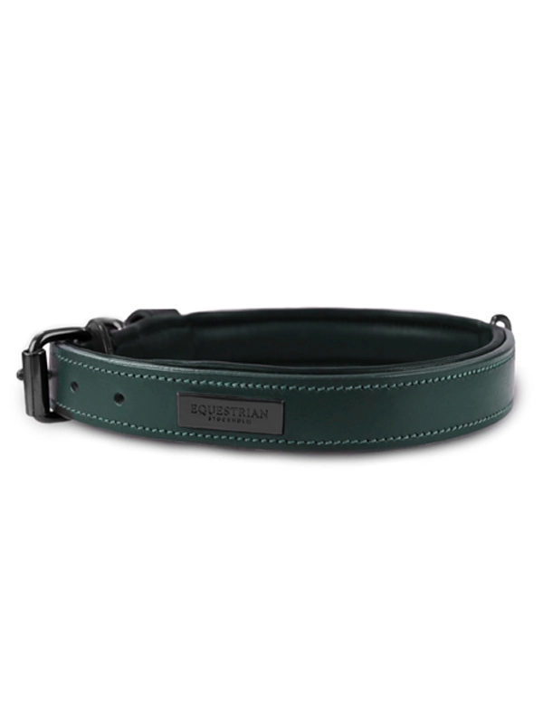 Dog Collar Clean Sycamore Green