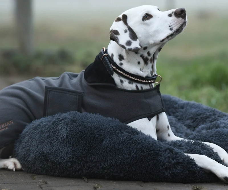 Fleece Dog Rug Dark Sky