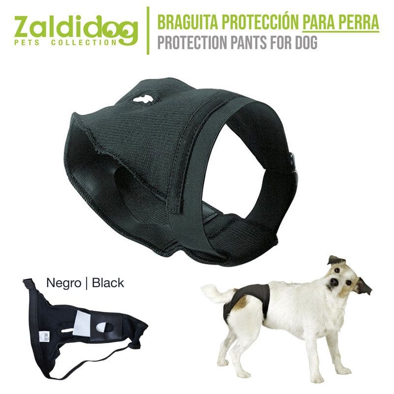 PERRO BRAGUITA PROTECCION PARA PERRA NEGRO