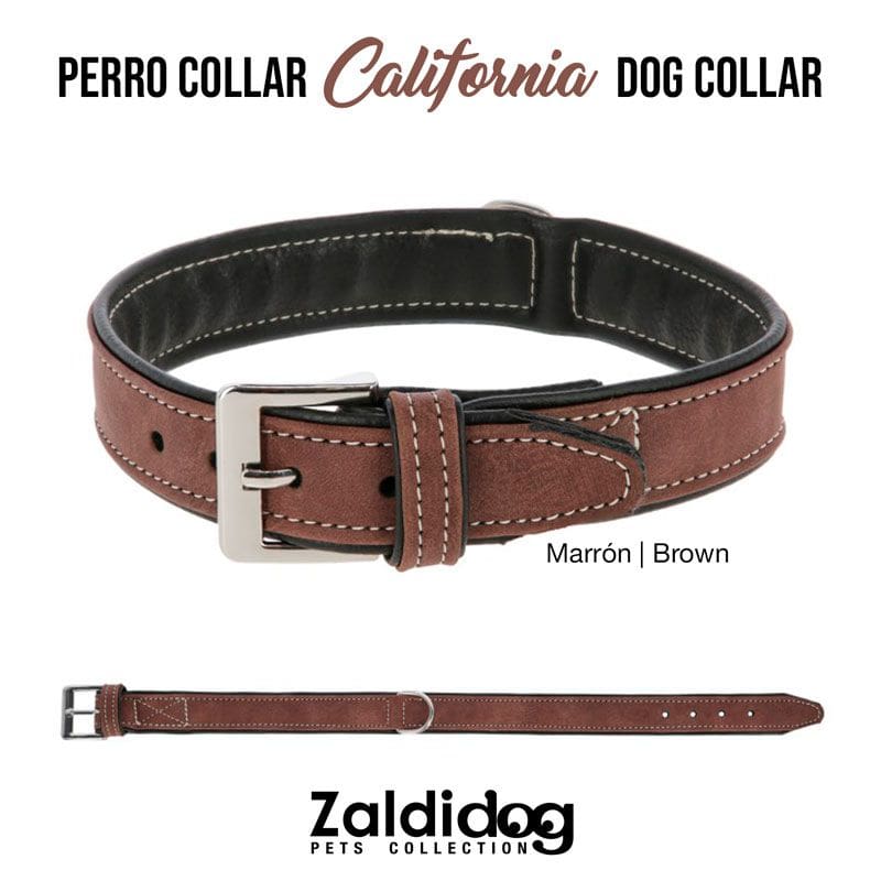 PERRO COLLAR CALIFORNIA MARRON