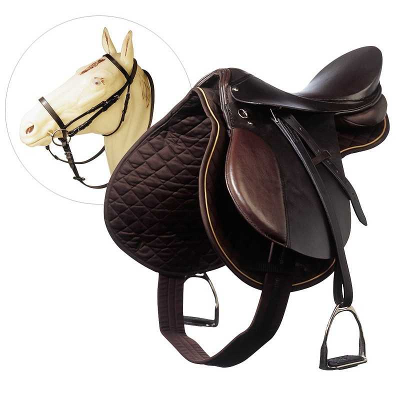 EQUIPO ESCUELA. MARJOMAN. Iberian Horse Shop