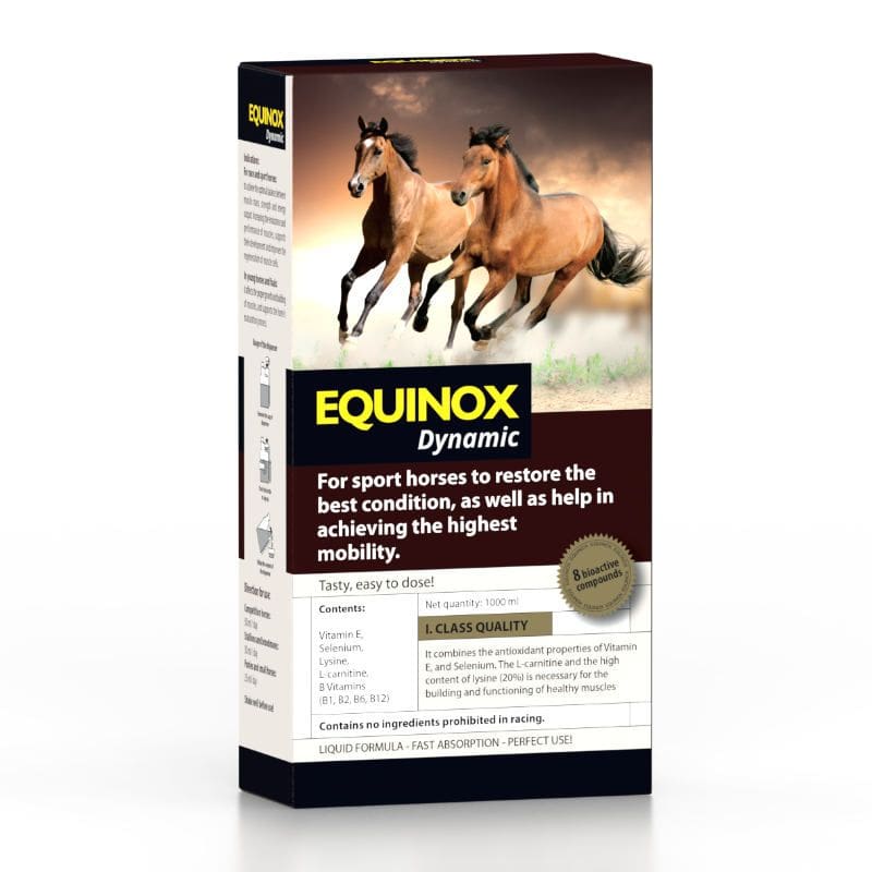 EQUINOX Dynamic. IBERIANHORSESHOP
