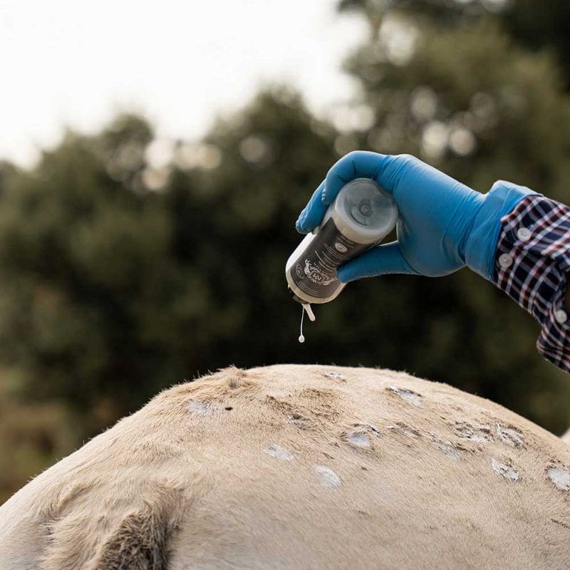 Protector Natural Citronella y Geranio 250 ml