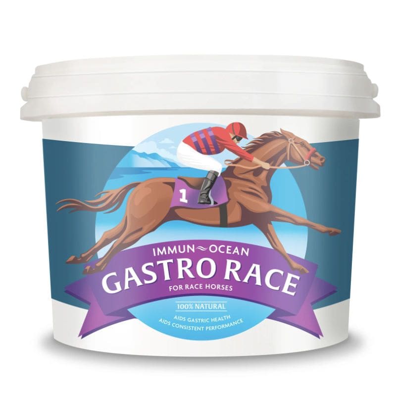 IMMUN-OCEAN GASTRO RACE