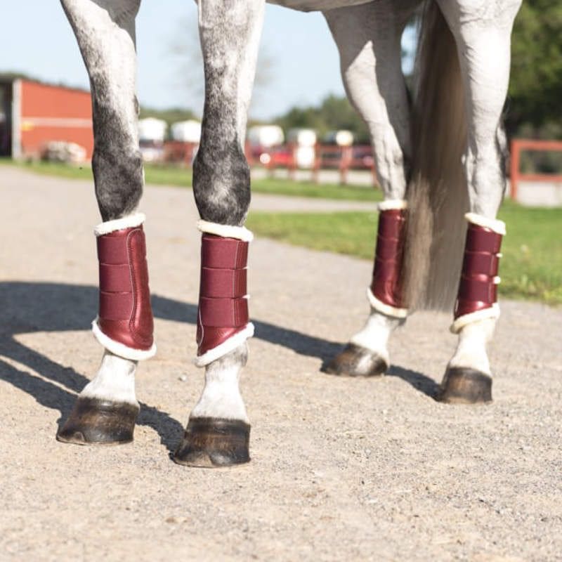 Brushing Boots Bordeaux