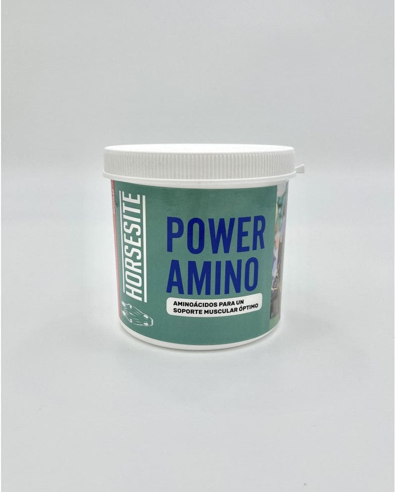 POWER AMINO 500 G
