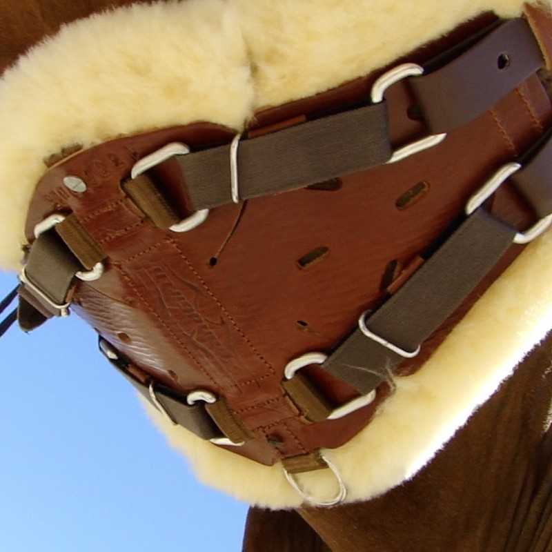 Cincha XpandGirth para doma (desde 60 cm)