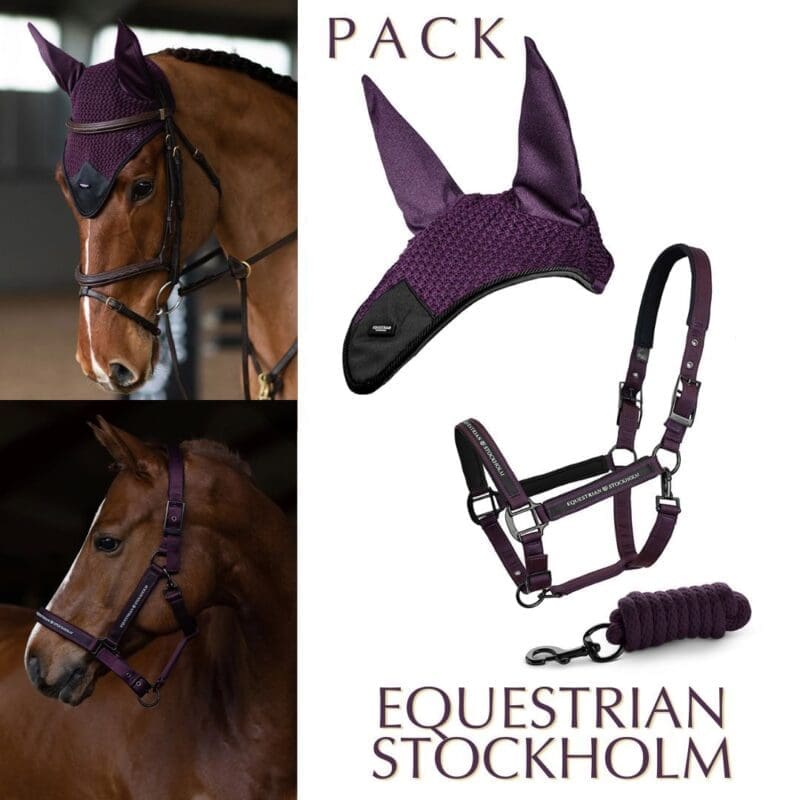 Pack orejero más cabezada con ramal.