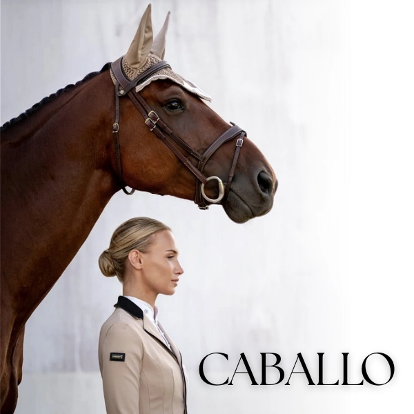 Categoría caballo
